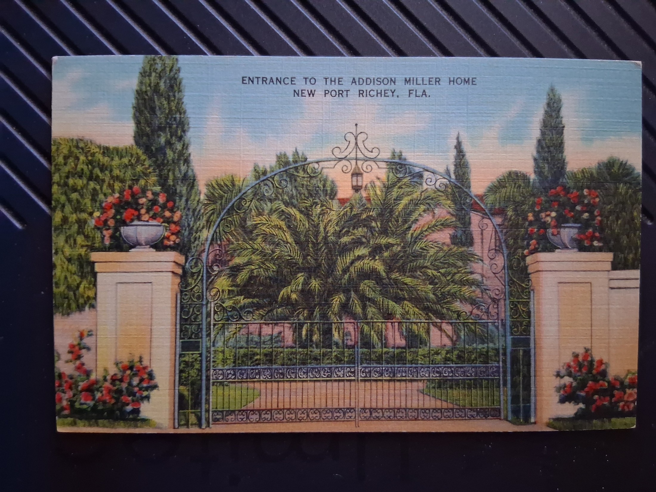 New Port Richey, Florida, USA