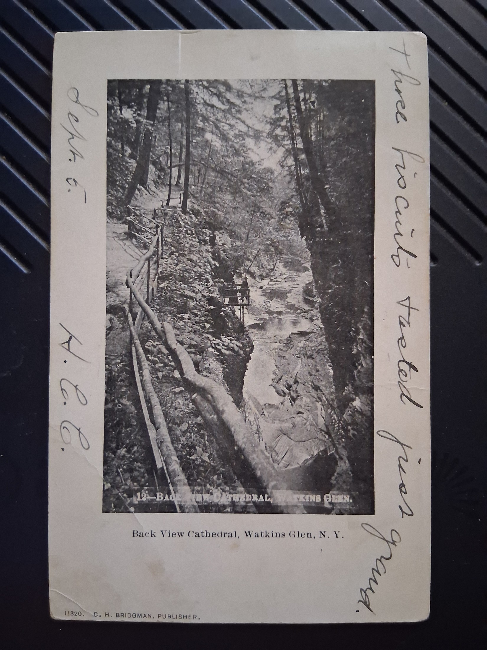 Watkins Glen, N.Y.