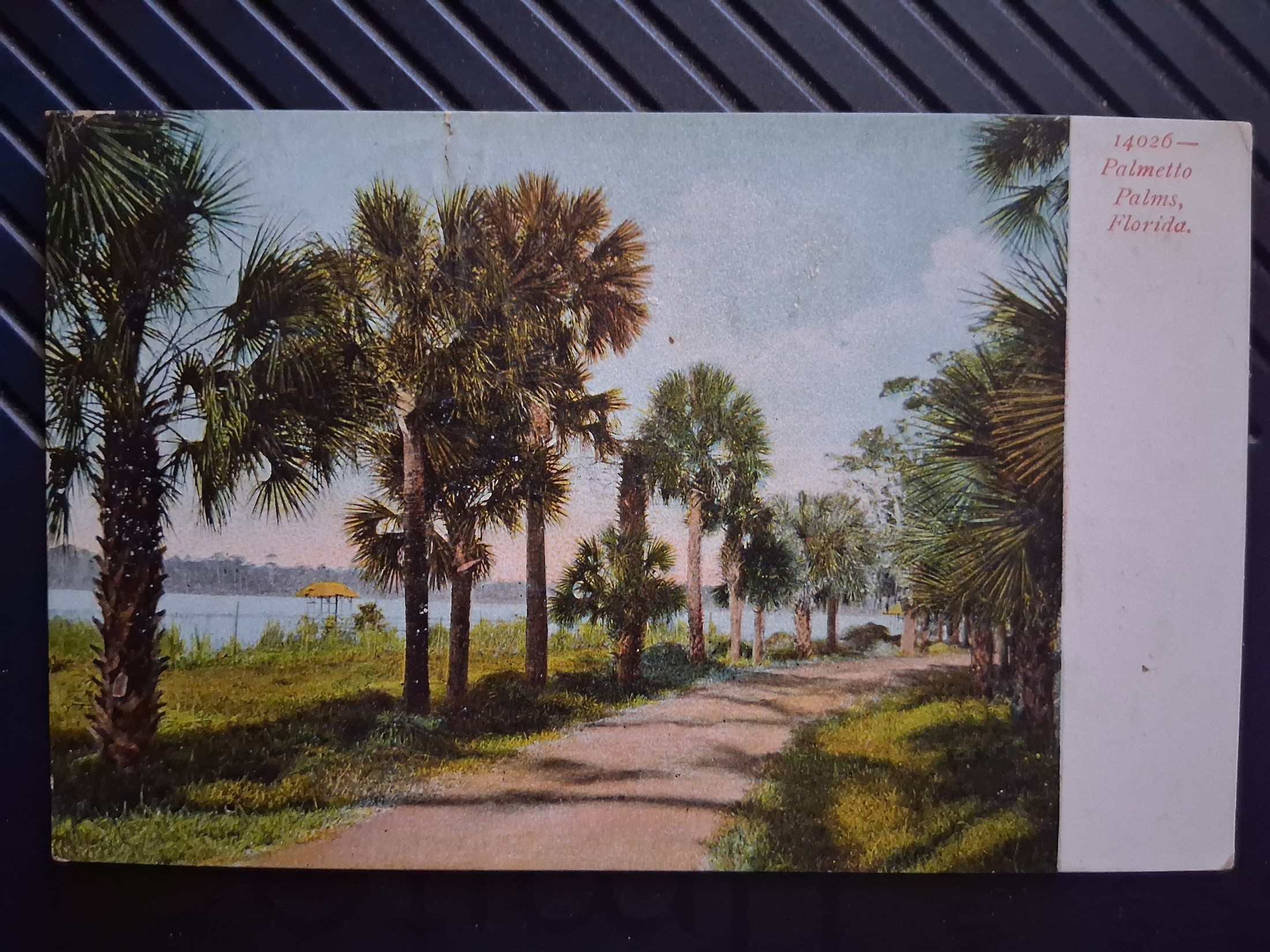 Florida, USA