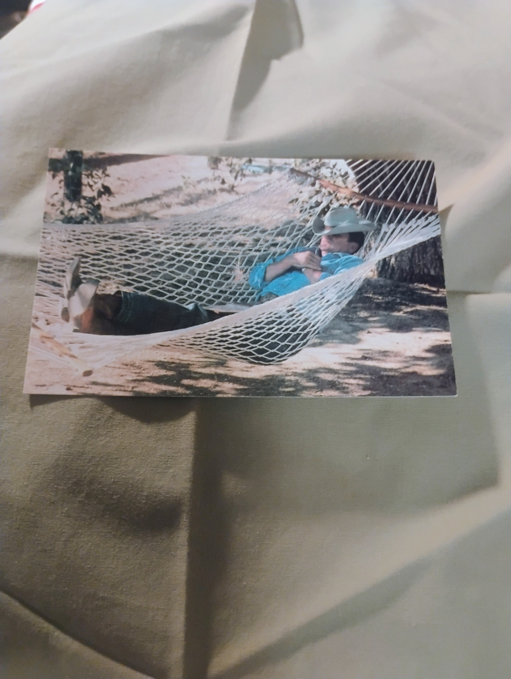 Postcard