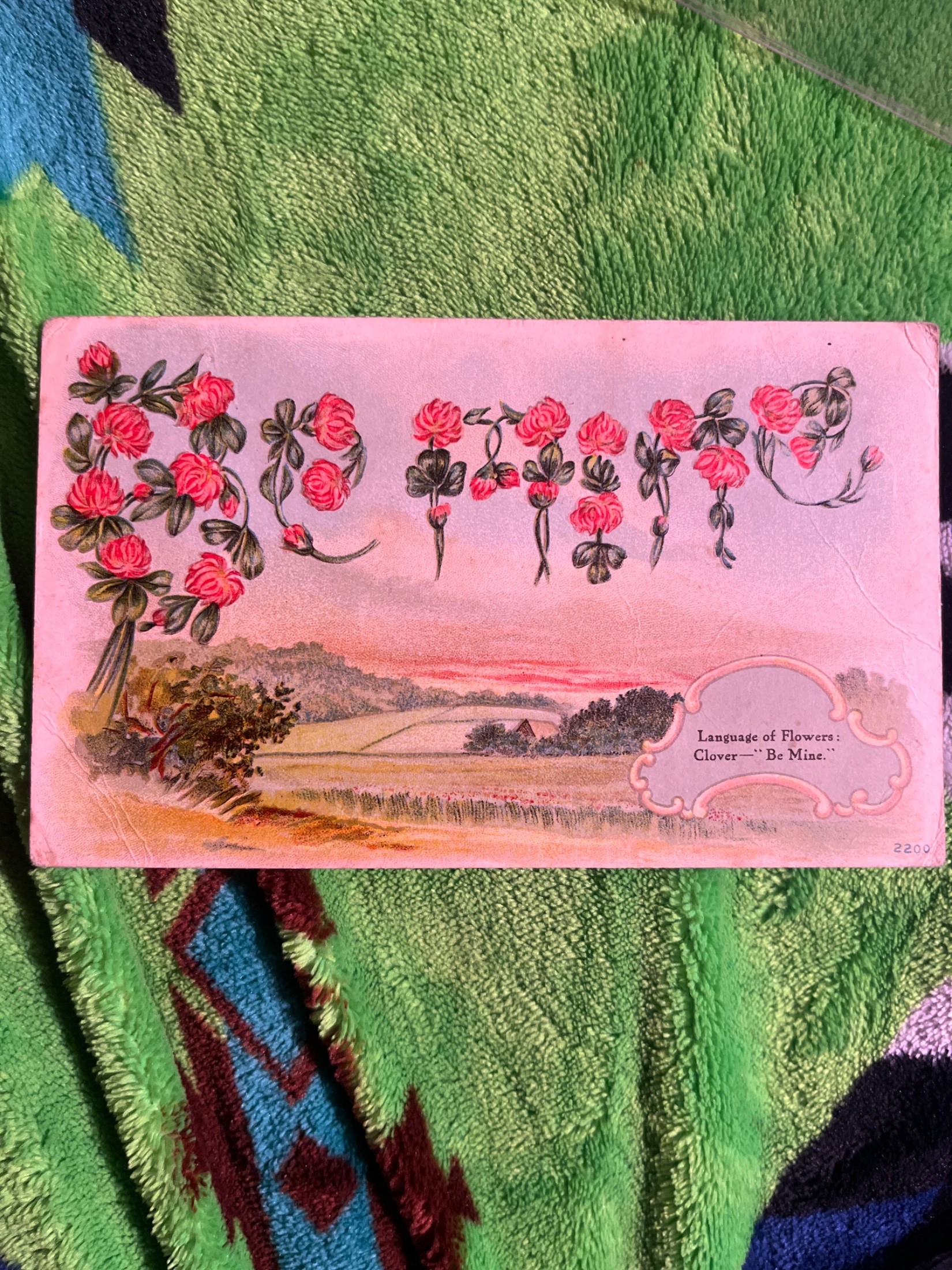 Postcard