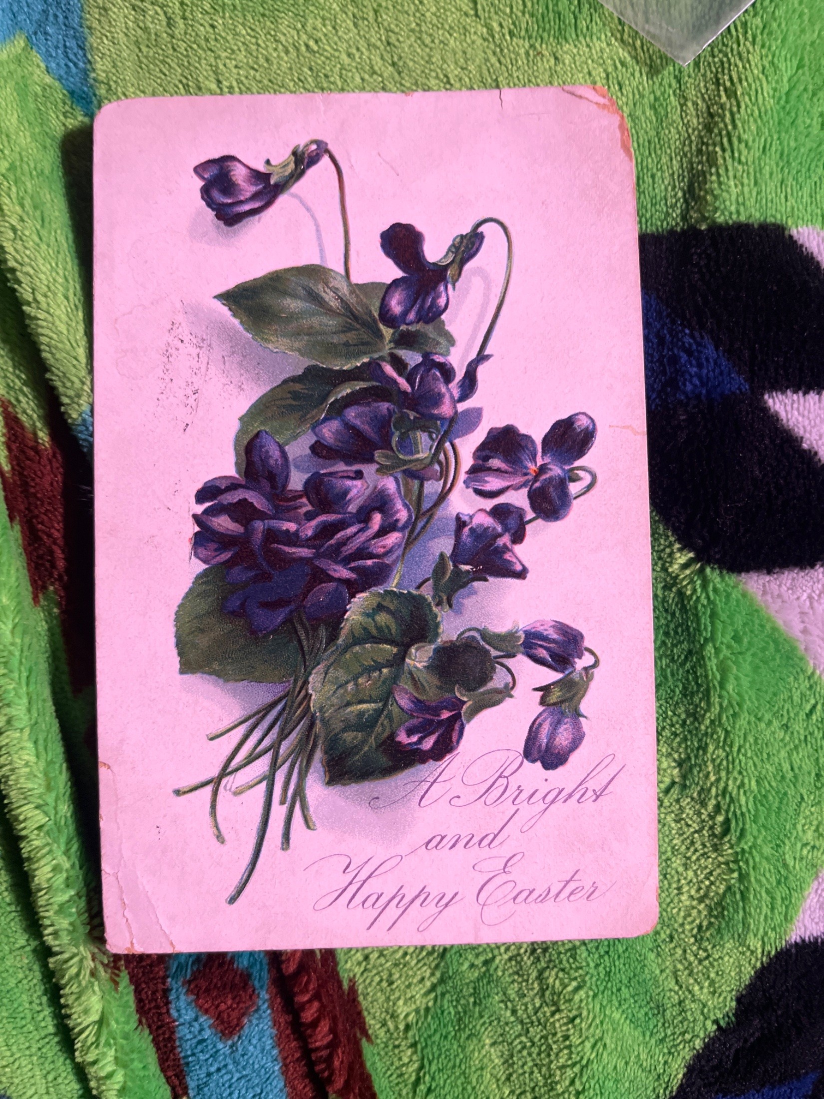 Postcard