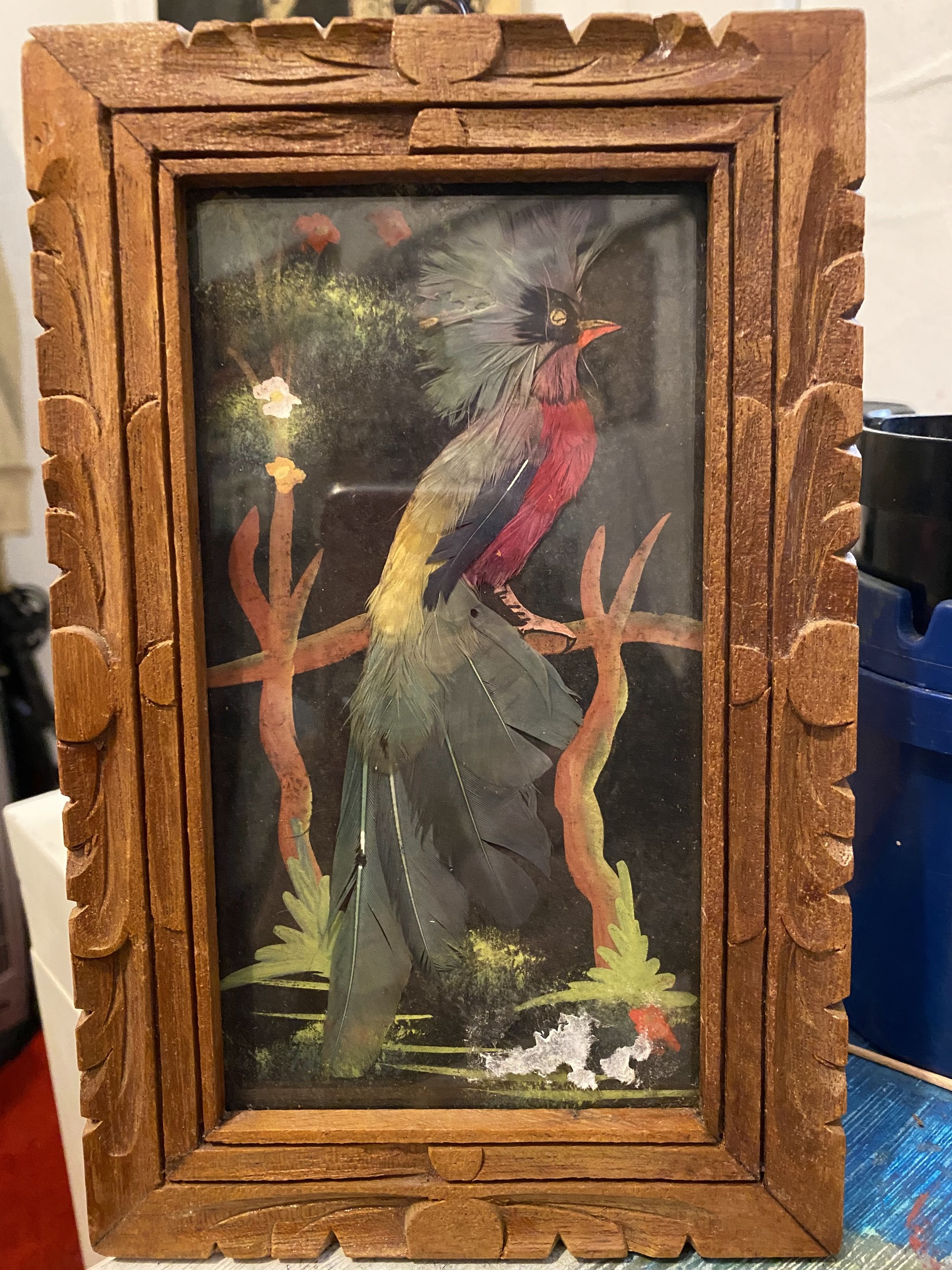 Framed Real Feather Bird of Paradise Art in Carved Wooden Frame