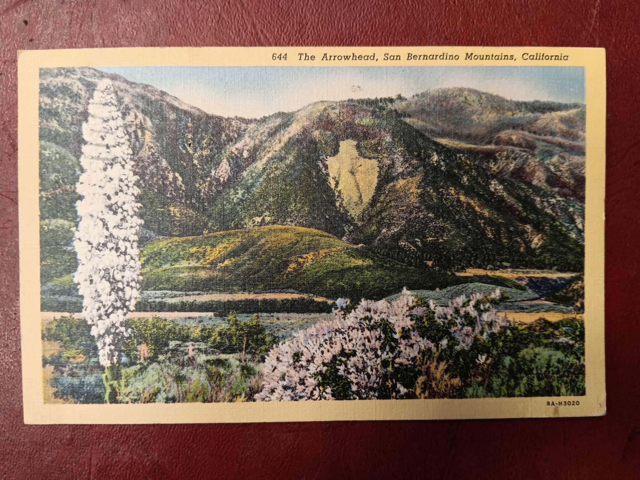 San Bernardino Mountains, California