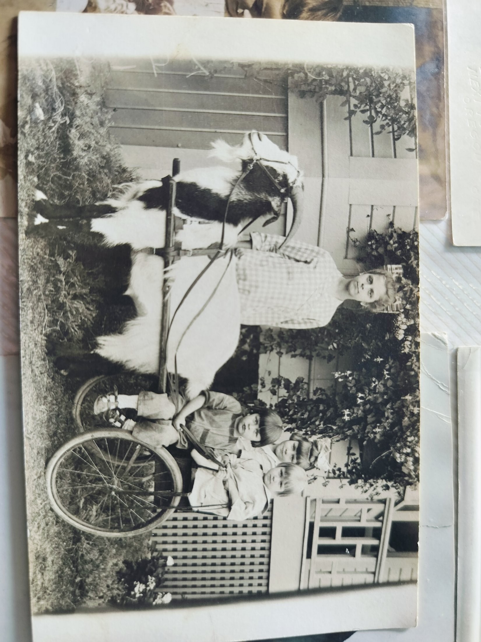 Postcard