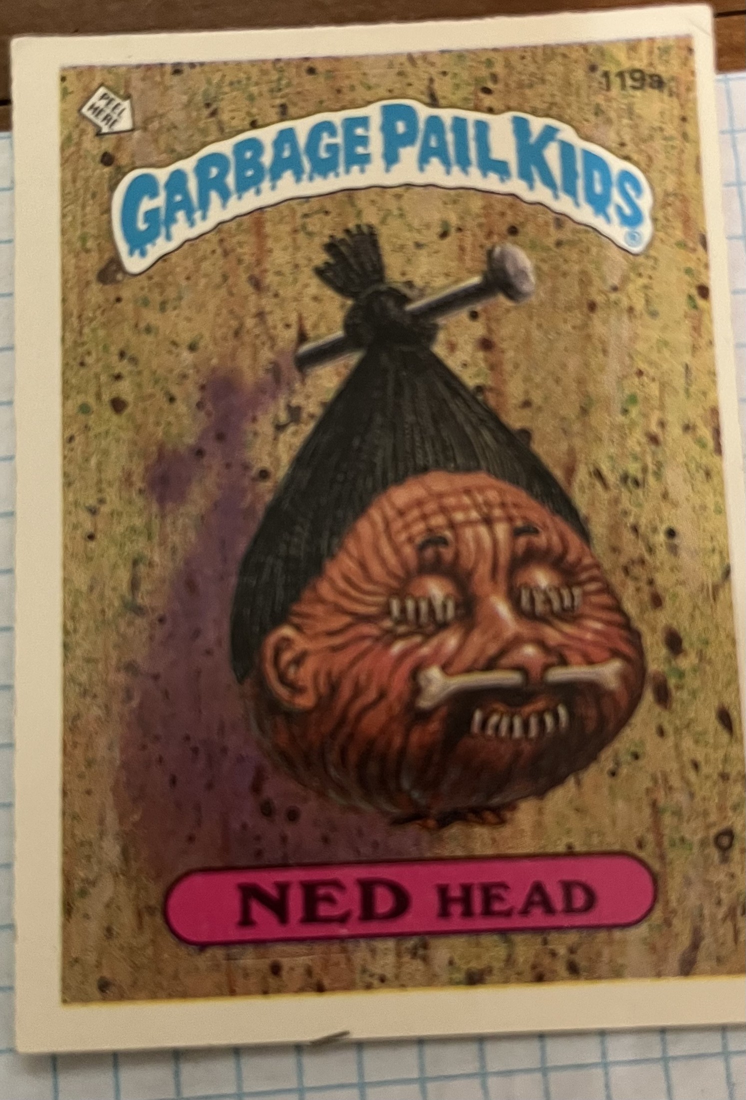 Ned Head