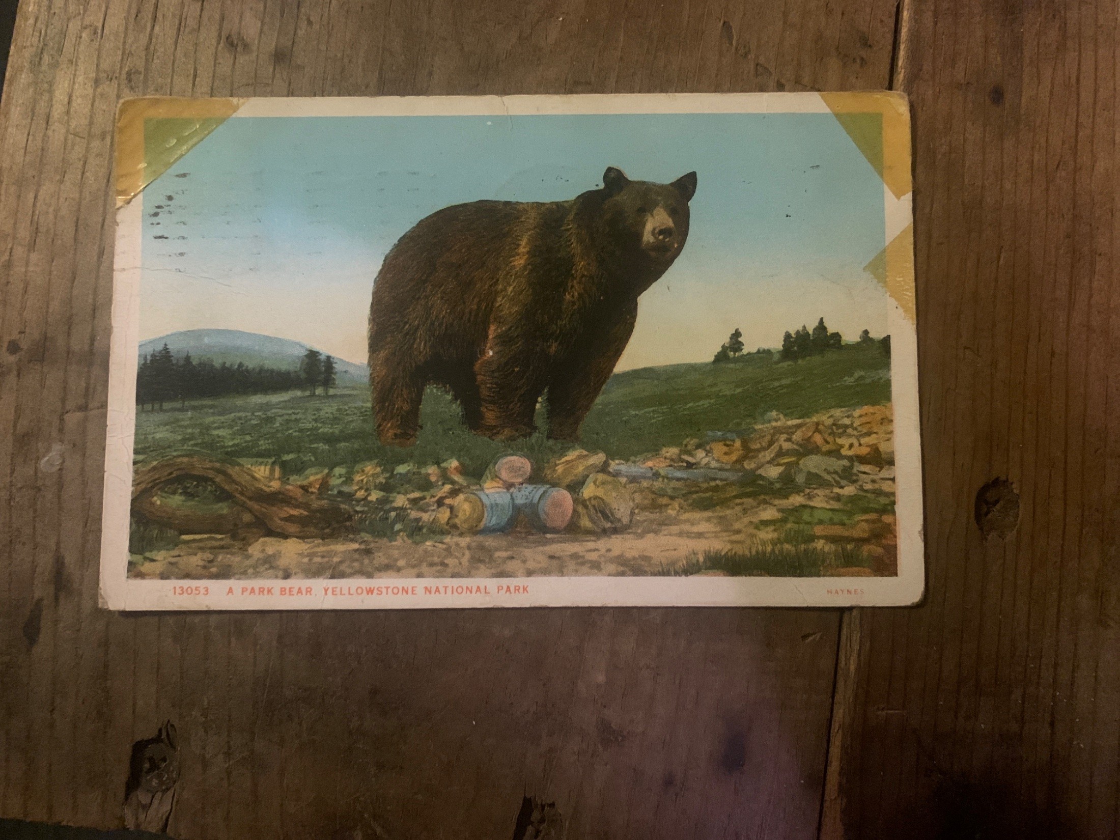 Yellowstone National Park postcard