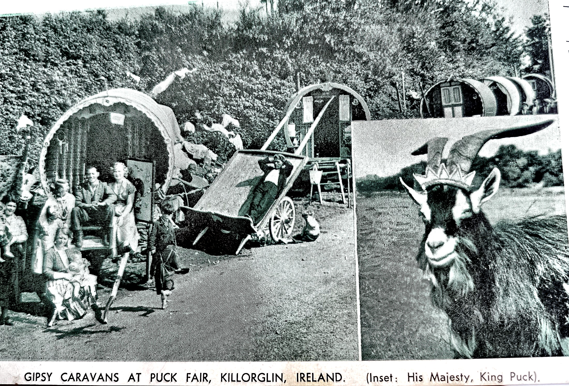 Killorglin, Ireland postcard