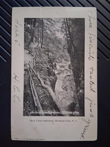 Watkins Glen, N.Y.