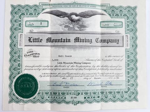 Little Mountain Mining Company